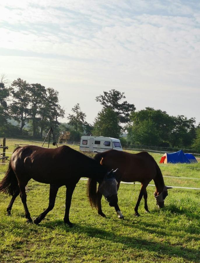 Campingplatz Stajnia *