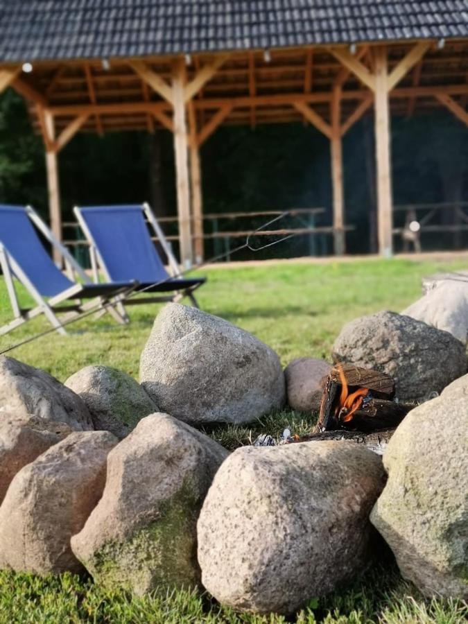 Stajnia
