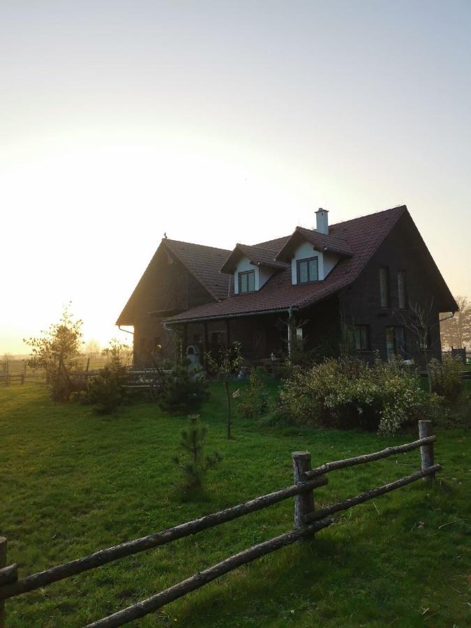 Stajnia