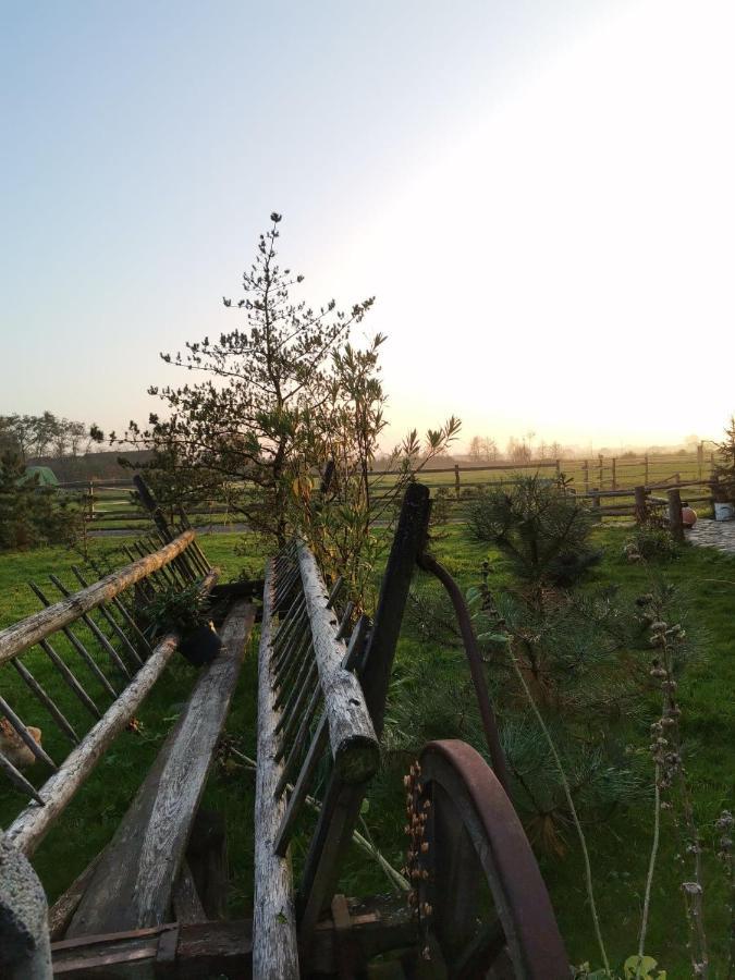 Campingplatz Stajnia