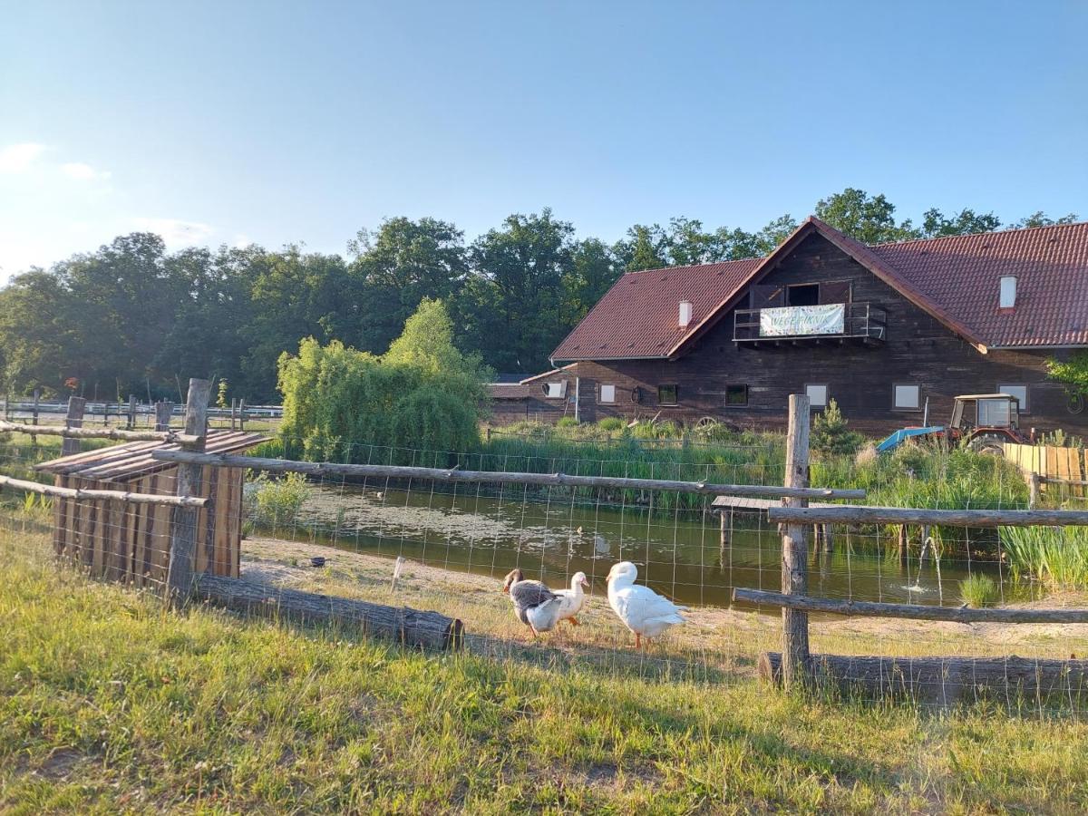 Stajnia Campingplatz Karczow
